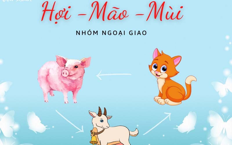 Tuổi Tam Hợp với tuổi Hợi Mão Mùi