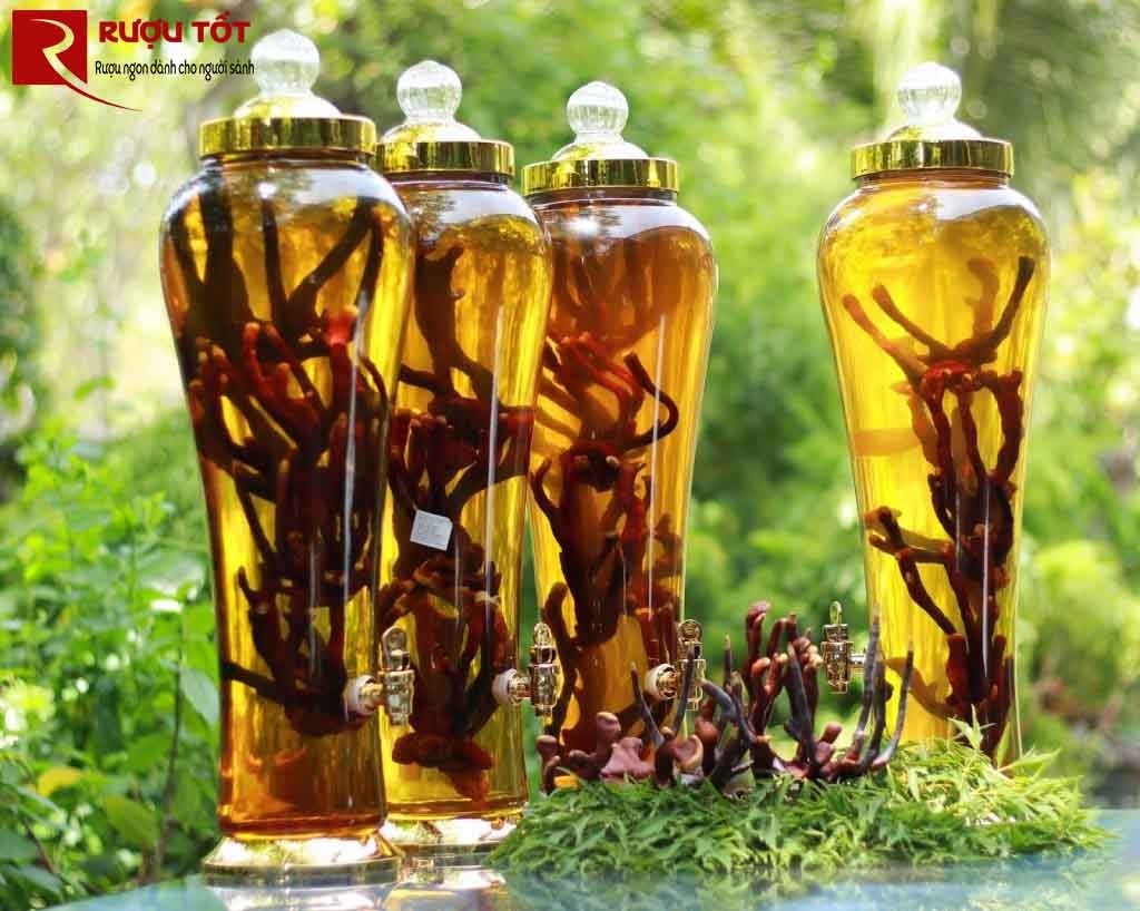 Giá rượu Amakong