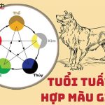 hinh 1 hinh trong bai viet 24 1