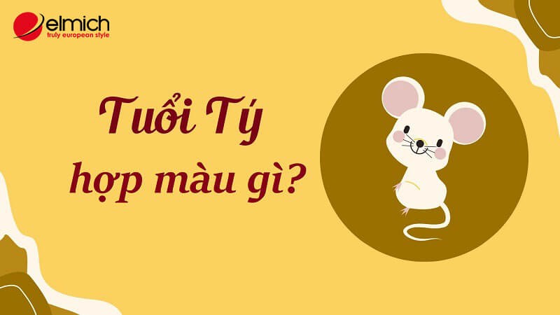 Những màu sắc mang lại may mắn cho người tuổi Tý theo phong thủy