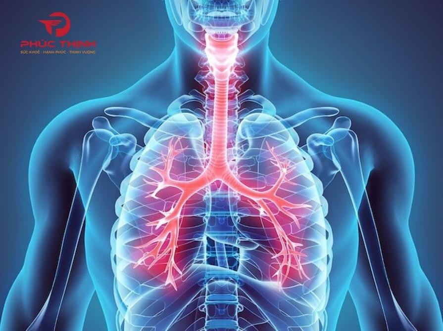 Công dụng của rượu sâm Hàn Quốc đối với sức khỏe