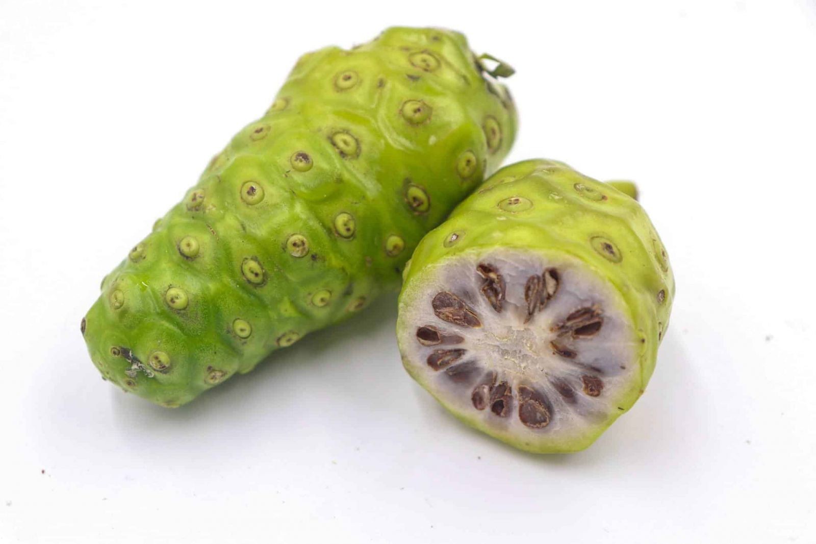 Nhàu được thu hái quanh năm