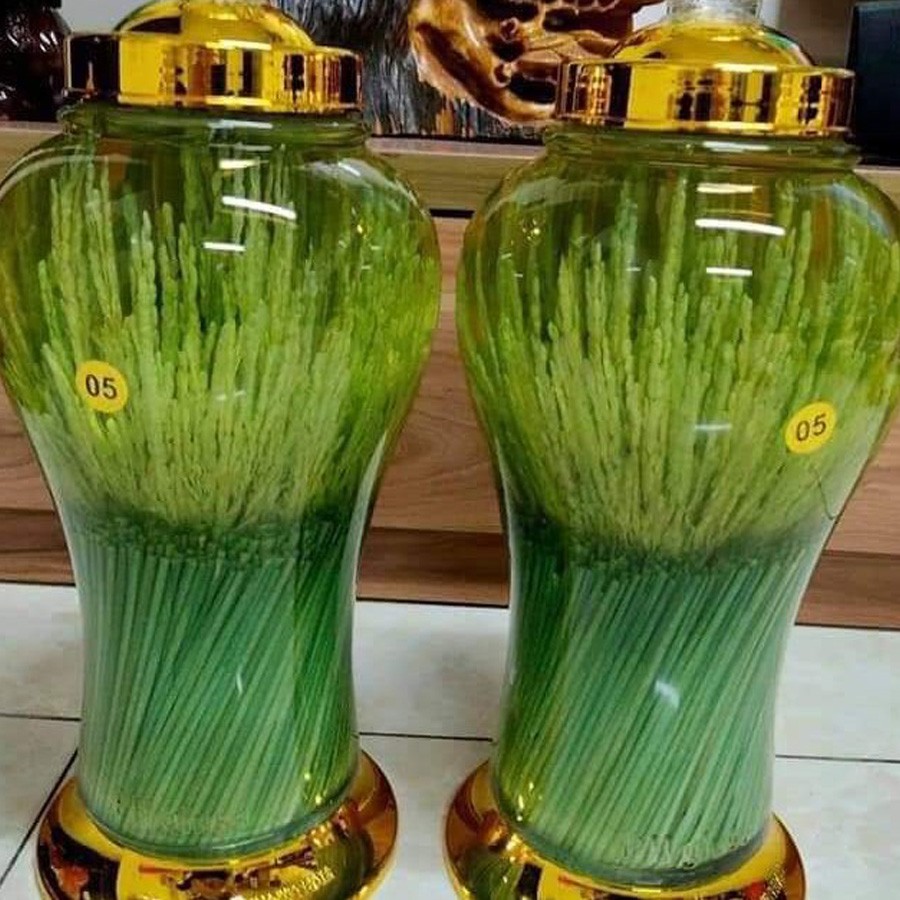 Rượu Kim Sơn được ngâm cùng nhiều loại thực vật làm thuốc