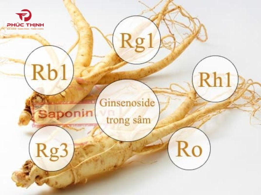 Hoạt chất quan trọng có trong rượu sâm Hàn Quốc