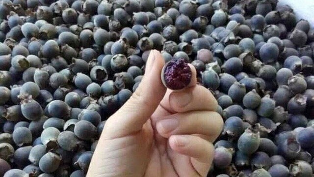 Các nguyên liệu cần thiết để thực hiện cách ngâm rượu sim khô tại nhà