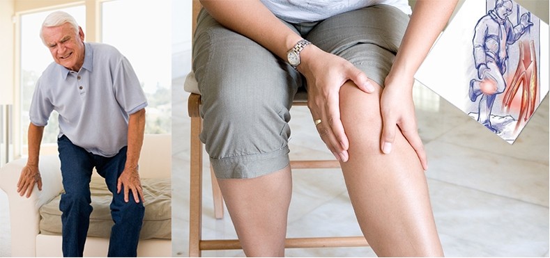 Cồn trong rượu bia gây rối loạn quá trình tái tạo xương, làm giảm mật độ xương và tăng nguy cơ loãng xương