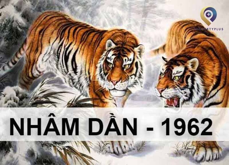 Tổng quan về người tuổi Nhâm Dần 1962 với các yếu tố phong thủy