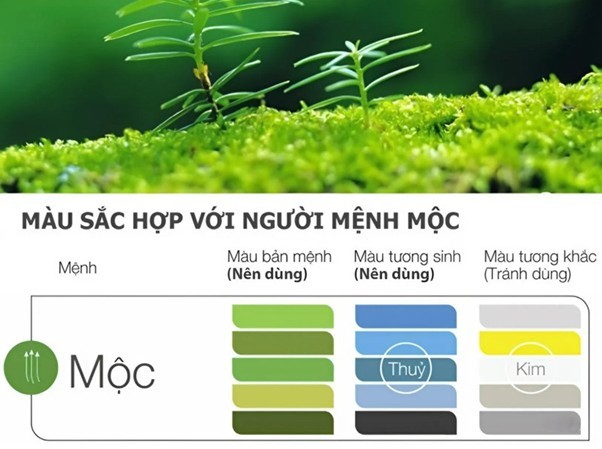 Màu xanh lá cây tượng trưng cho sự tươi mới và sinh sôi nảy nở