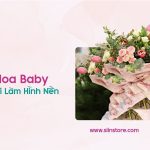 anh hoa baby 1 1