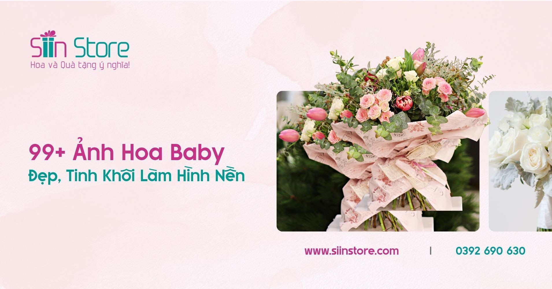 Một bó hoa baby trắng tinh khôi được gói ghém cẩn thận, tượng trưng cho vẻ đẹp thuần khiết và sự khởi đầu mới