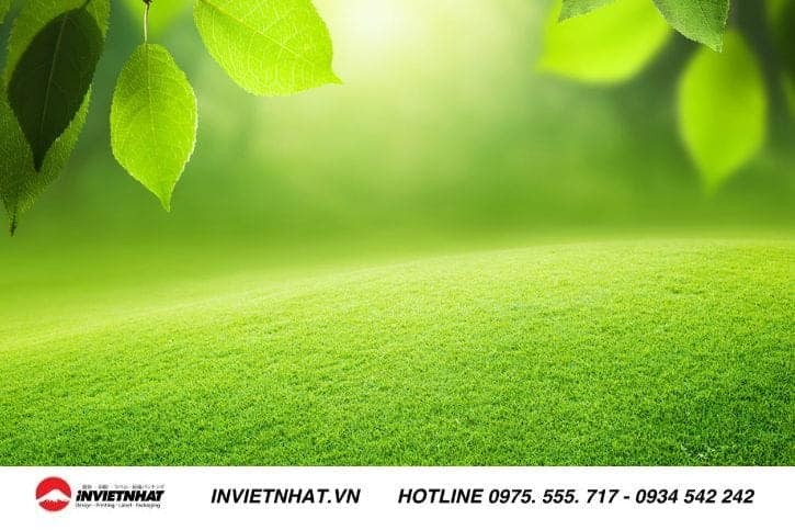 Background xanh lá tươi mát, tượng trưng cho thiên nhiên và sự sống