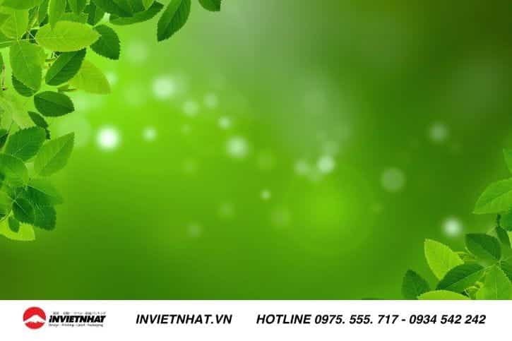 Background xanh mint dịu mát, mang đến vẻ đẹp nhẹ nhàng và thư thái