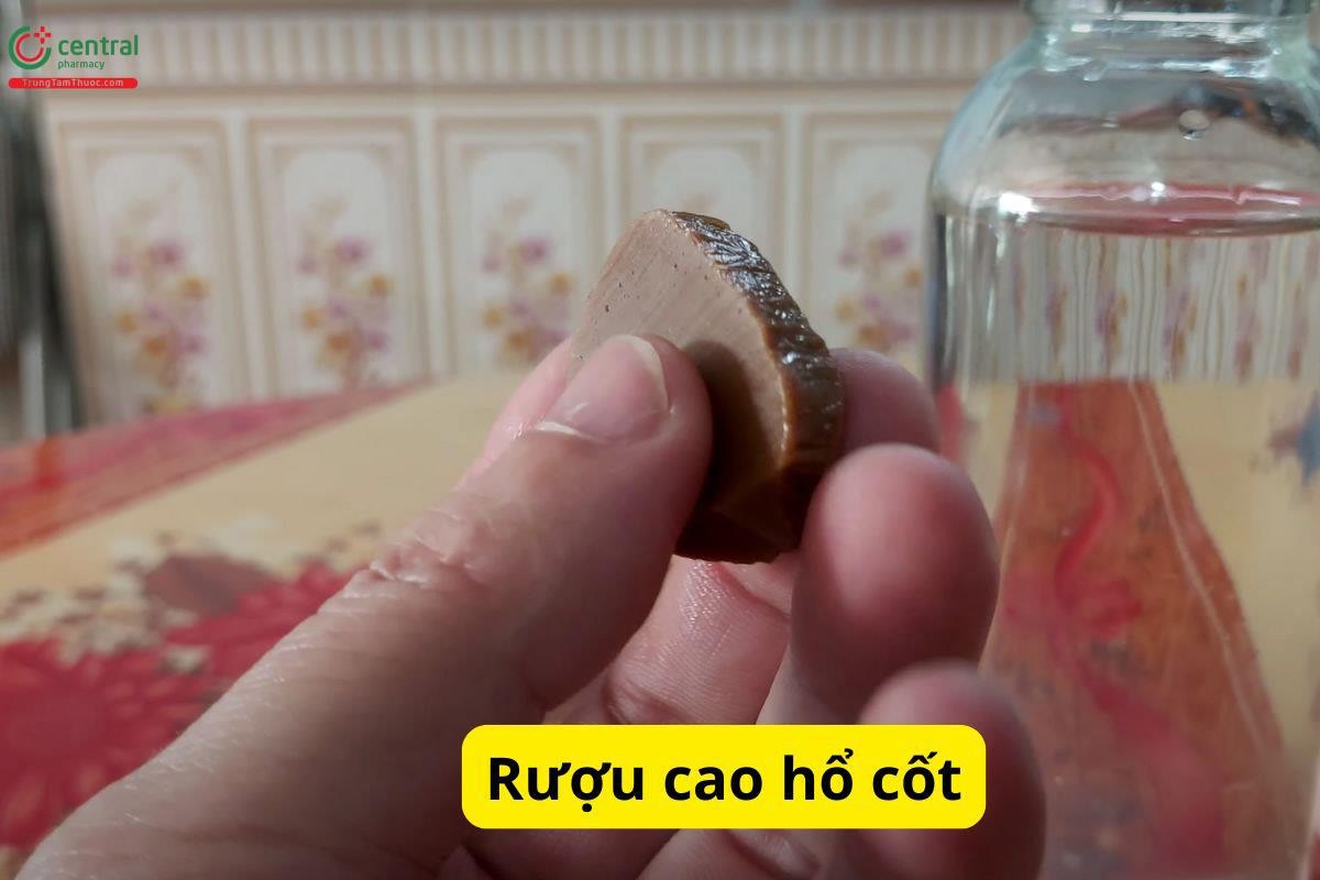 Rượu Cao Hổ Cốt, một hình thức sử dụng truyền thống của dược liệu này