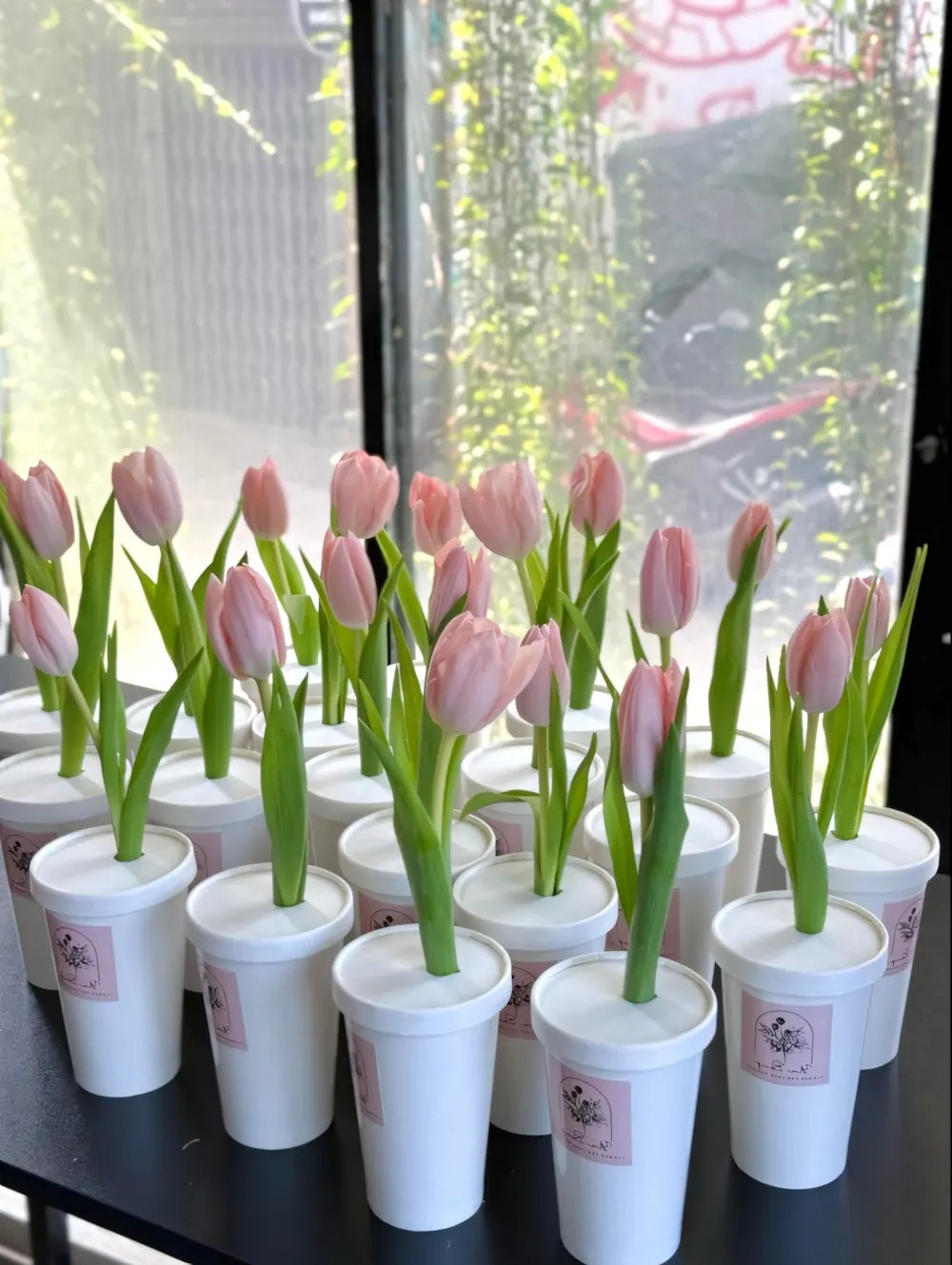 Ảnh chụp cận cảnh những bông tulip hồng đáng yêu