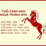 hinhanhtuoicanhngohophuongnaokhonghophuongnaoso1590d50db01 1