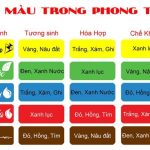 phong thuy tuoi dinh ty hop mau gi 3 1