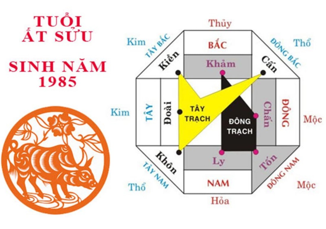 Nam Ất Sửu có mệnh Tây trạch, nữ Ất Sửu mệnh Đông trạch