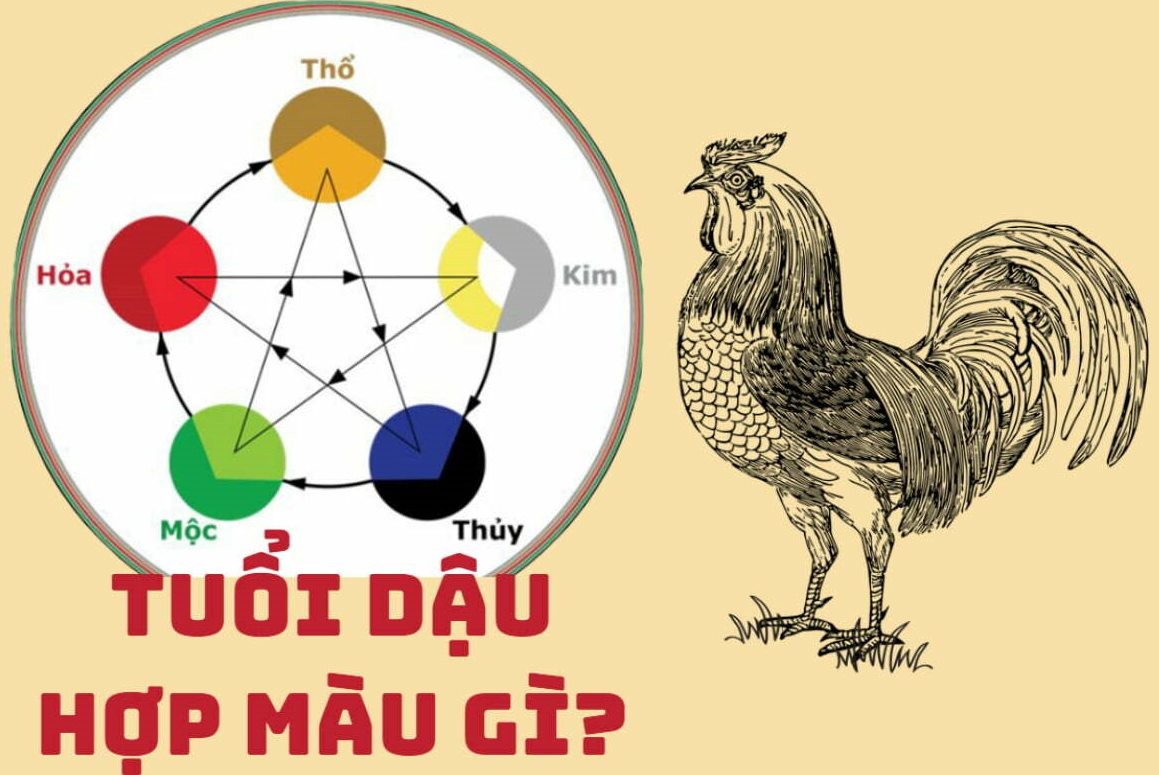 Bảng tổng hợp màu sắc phong thủy hợp với người tuổi Dậu