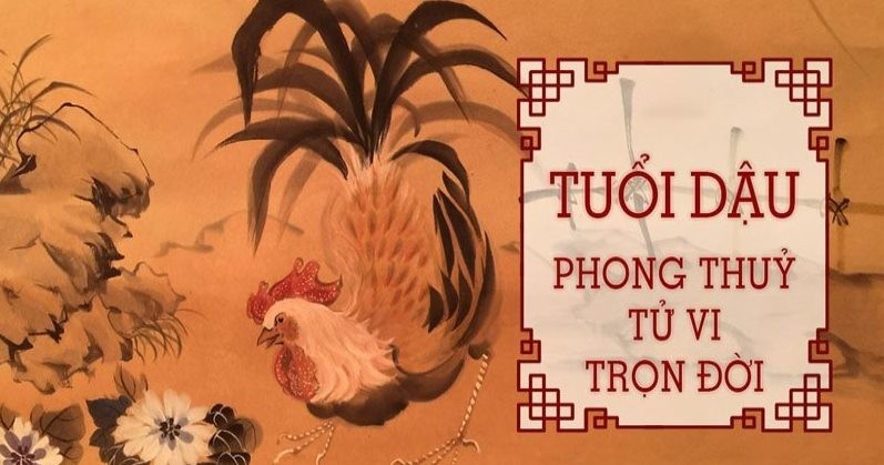 tuoi dau hop mau gi 2 1