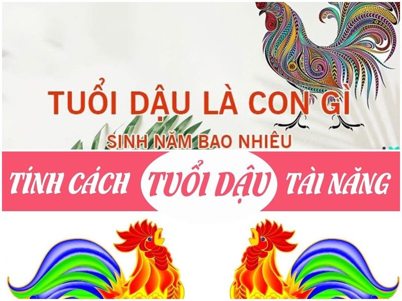 Người tuổi Dậu sở hữu sự kiên trì và ý chí mạnh mẽ