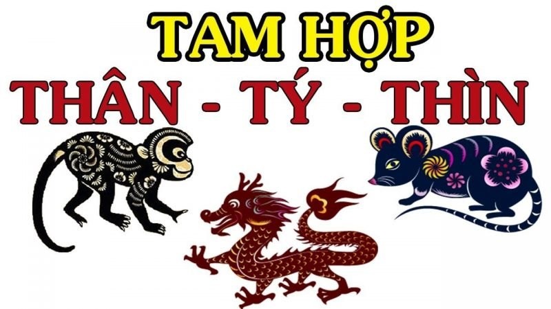 Mối quan hệ Tam hợp mang lại sự hỗ trợ và thịnh vượng cho người tuổi Thìn