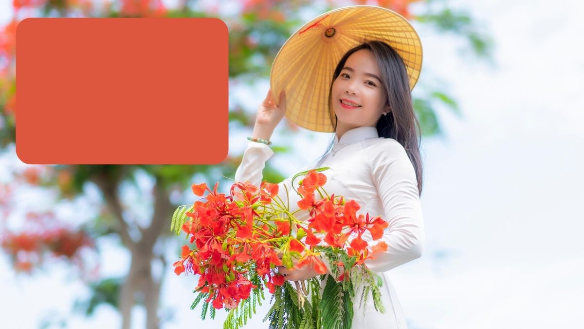 Hình nền PowerPoint hoa phượng với cô gái dịu dàng