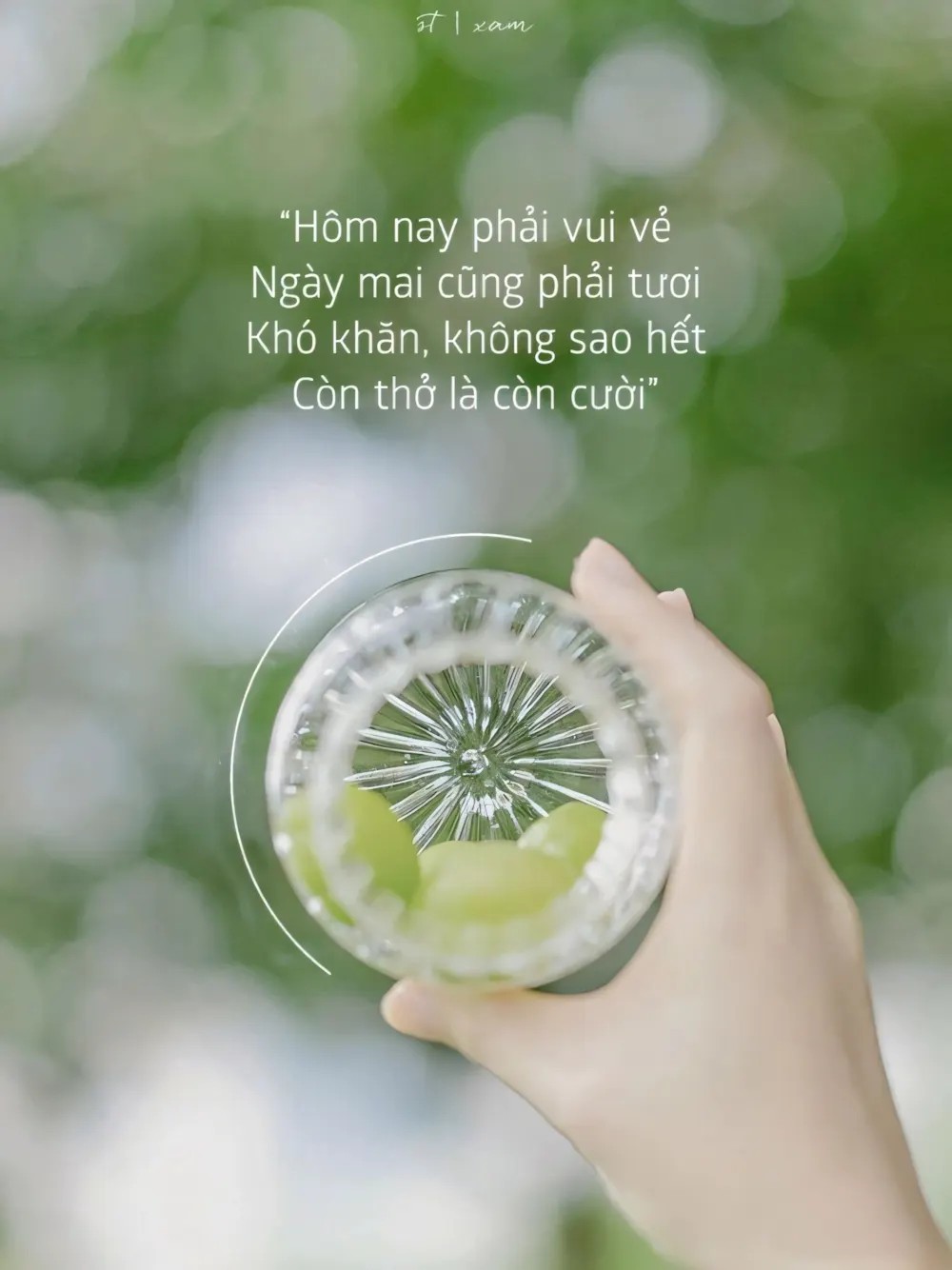 Hình nền điện thoại xanh lá với dòng chữ truyền cảm hứng