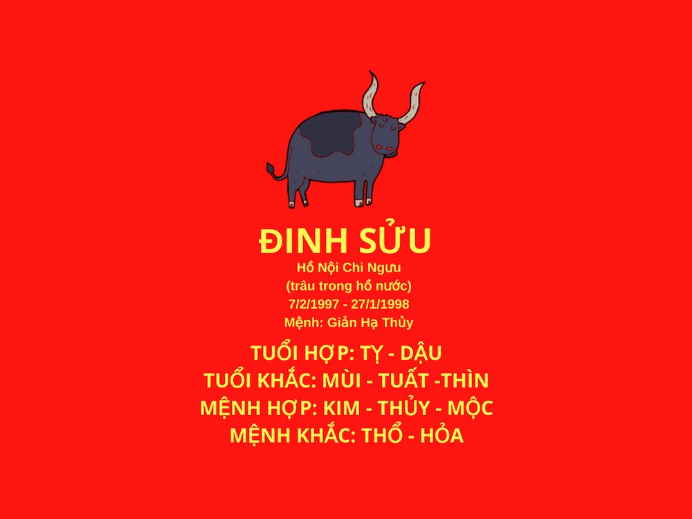 Phong thủy hướng nhà tuổi Đinh Sửu để thu hút vượng khí và may mắn