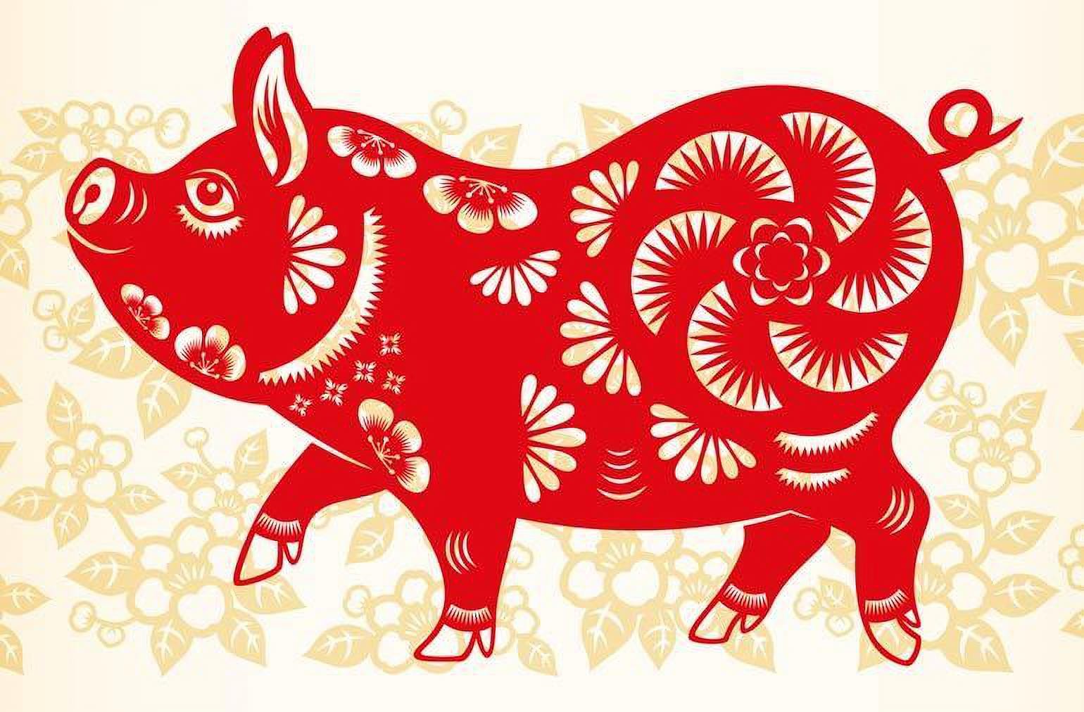 hinhanhtuoihoihophuongnaocachhoagiaikhinhakhonghophuongso1511212535a 1